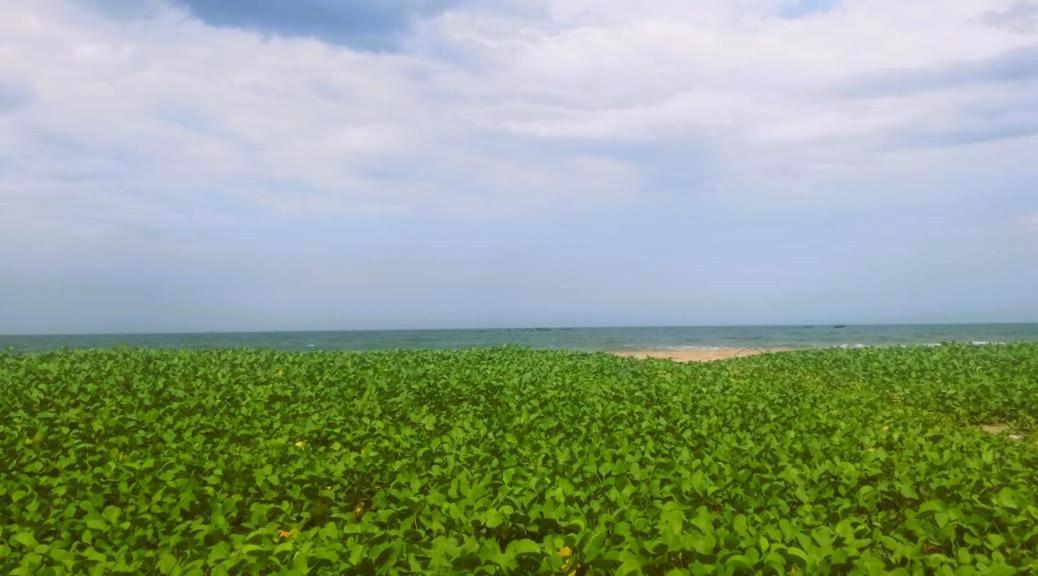 Chan Beach Resort Bahur Zewnętrze zdjęcie